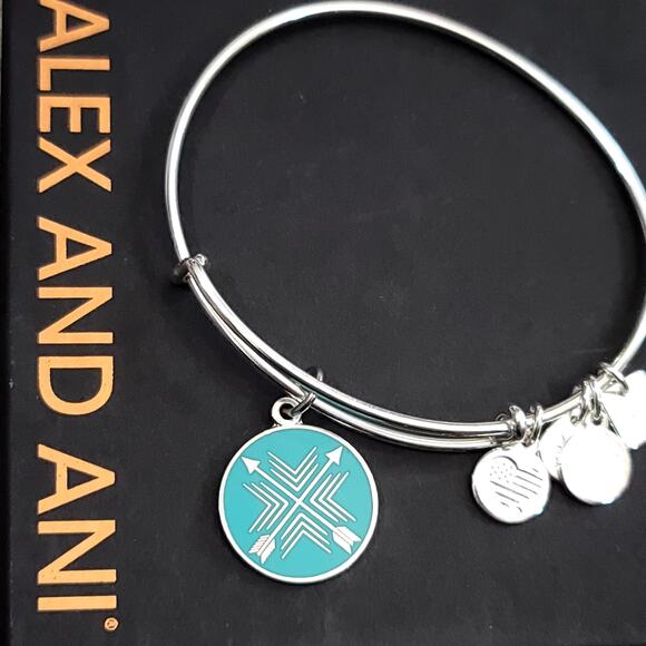 Alex and Ani Arrows of Friendship Charm Bracelet - Picture 1 of 9